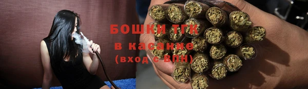 твердый Володарск