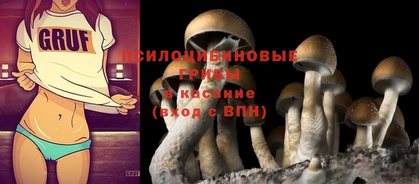 дживик Волосово