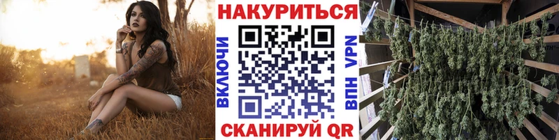 OMG вход  купить закладку  Снежинск  Шишки марихуана SATIVA & INDICA 